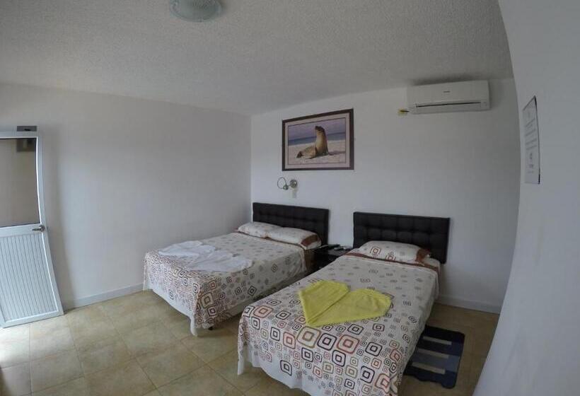 هاستل Stefany's Lodging