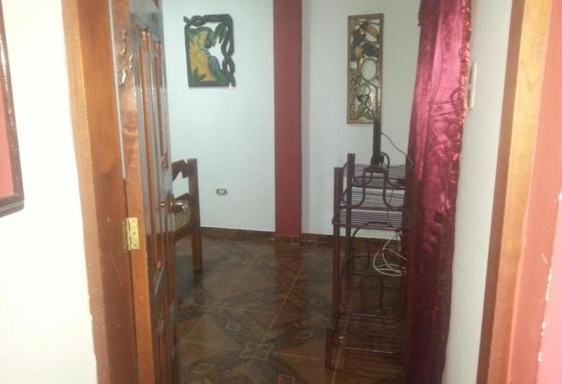 هتل Hostal Selvatrip