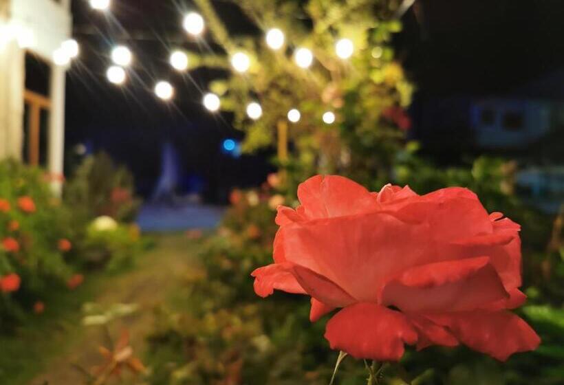 هتل La Casa De Mi Sub