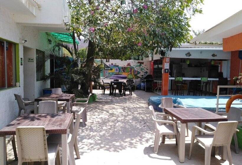 هتل Taganga Dive Inn