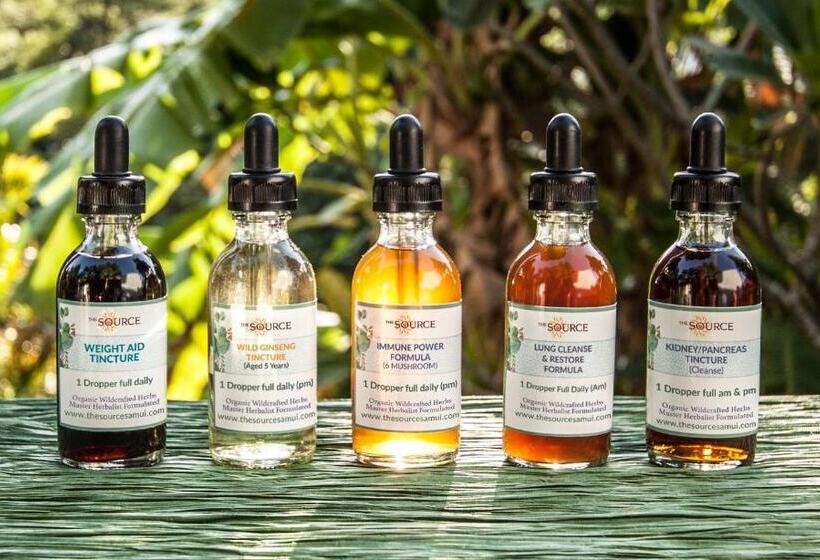 استراحتگاه The Source Herbal Detox Retreat