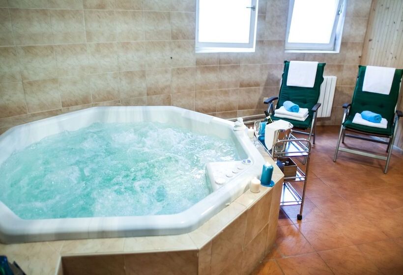 Retro Hotel Villa Ostrava