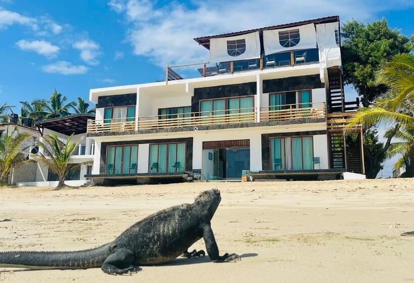 تختخواب و صبحانه Cormorant Beach House