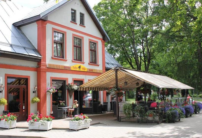 مسافرخانه City Center Kaķis B&b