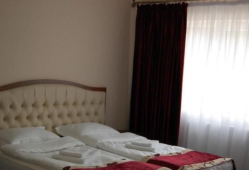 Hostel Paltinis