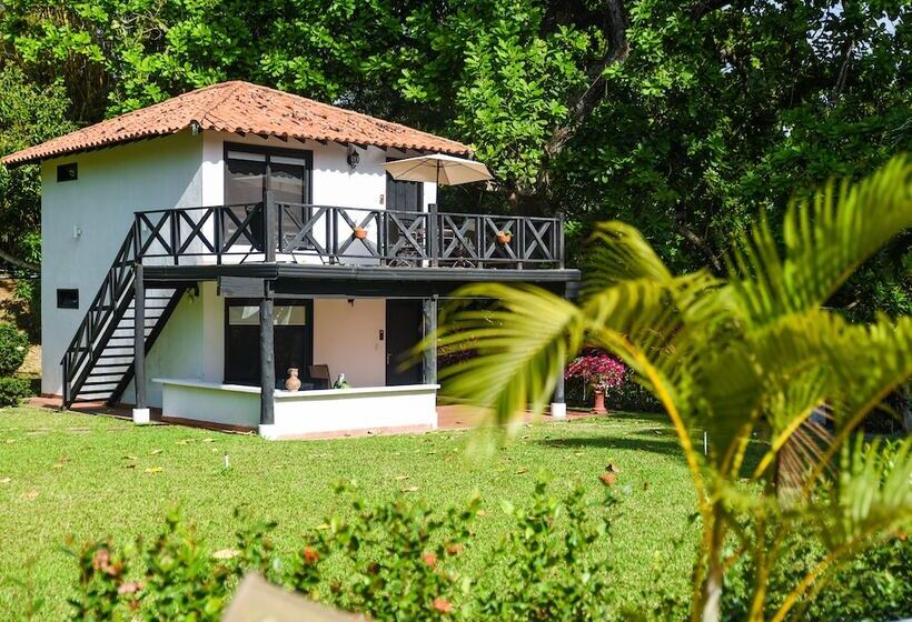 Kantawa Hotel & Spa   Solo Adultos