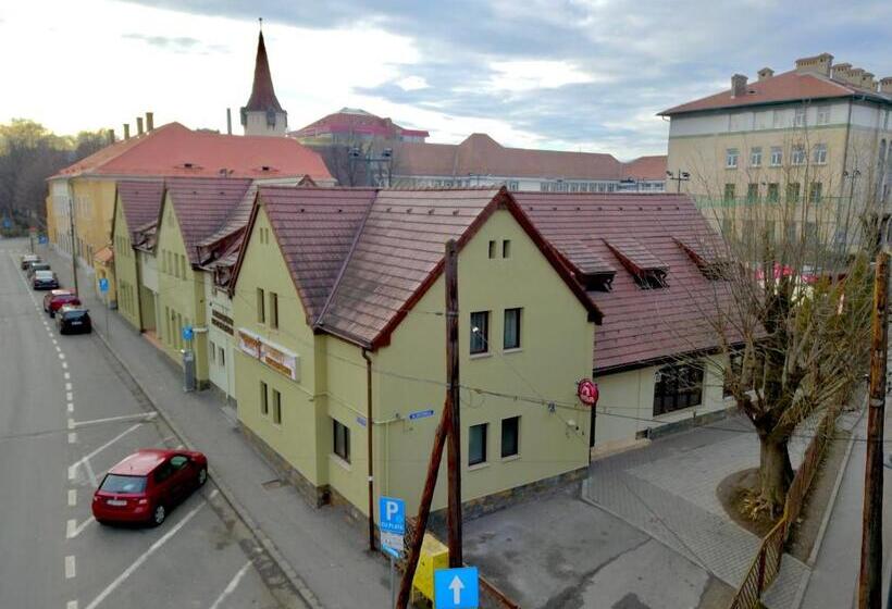 استراحتگاه Pensiunea Luceafărul Sibiu