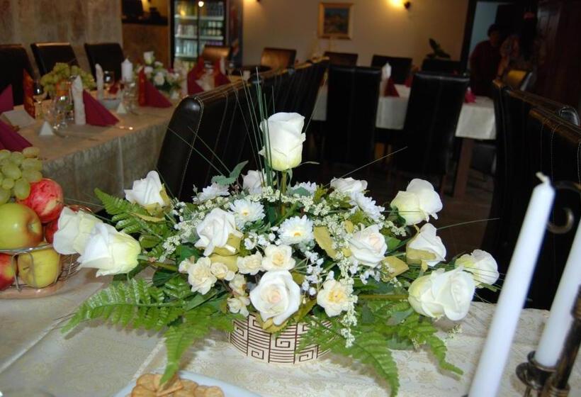 استراحتگاه Vila Carpathia