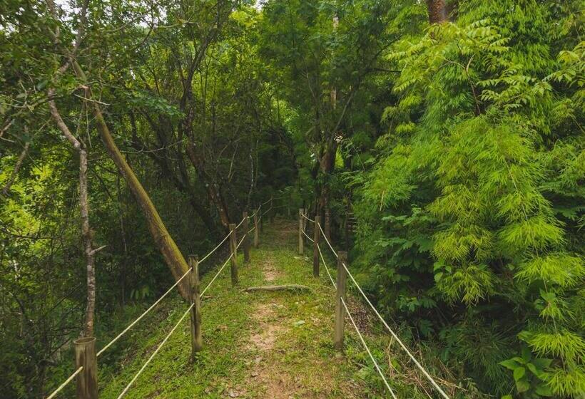 هتل Minca Ecohabs