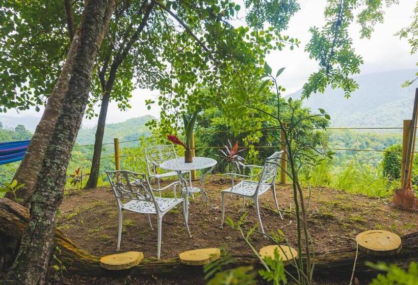 هتل Minca Ecohabs