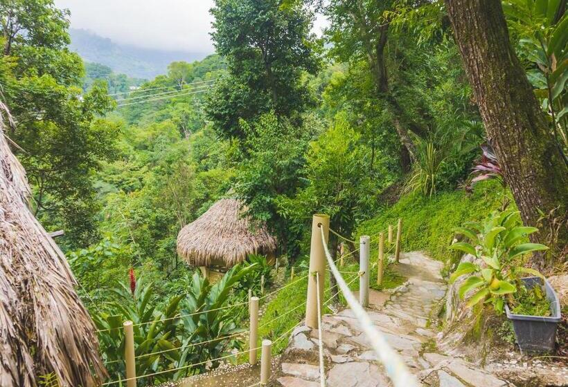 هتل Minca Ecohabs