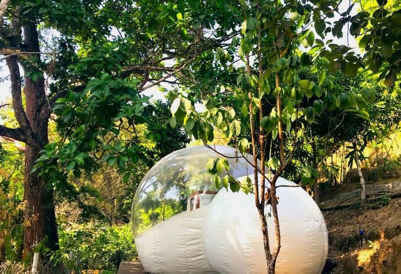 Sweet Harmony Hotel Boutique By Xarm Hotels