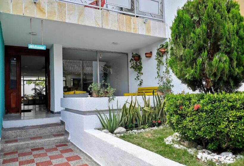 هاستل Bona Vida