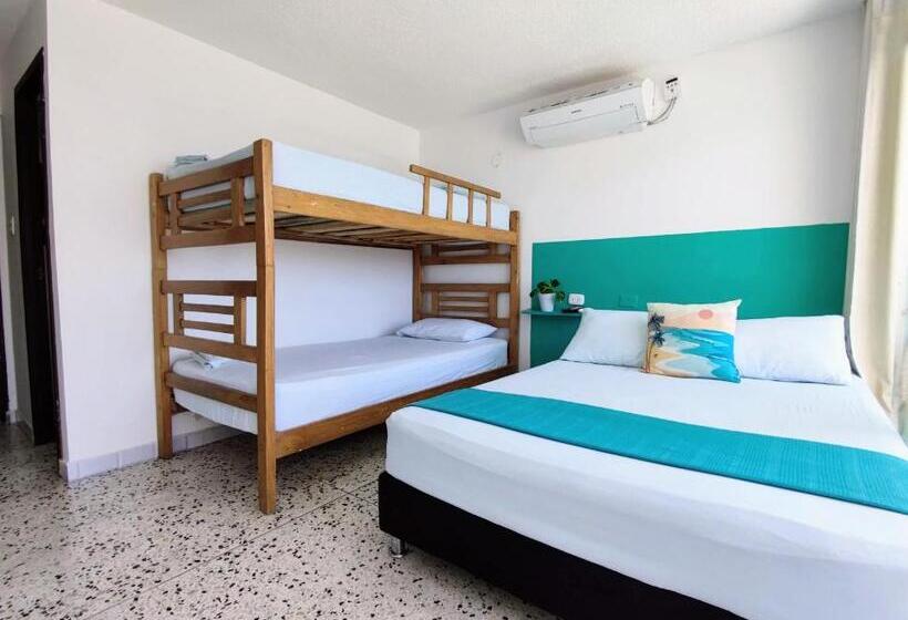 هاستل Bona Vida