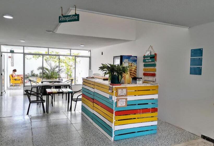 هاستل Bona Vida