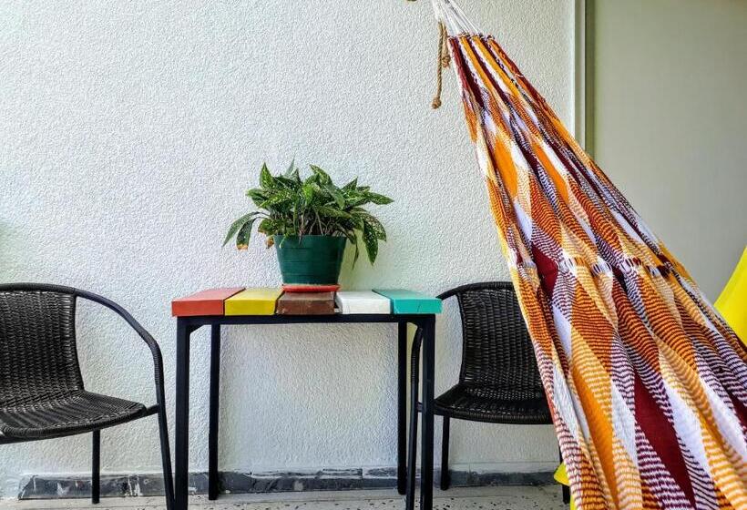 هاستل Bona Vida