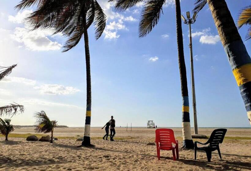 هاستل Bona Vida