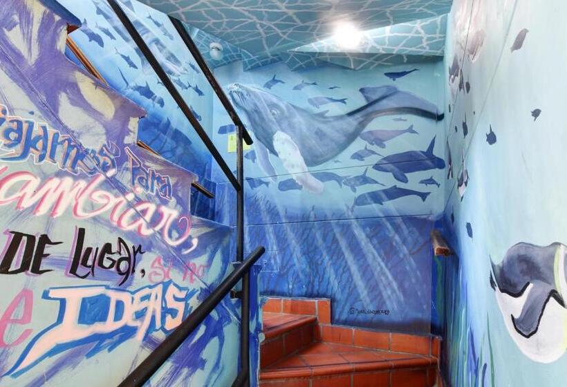 هاستل International House Co Living