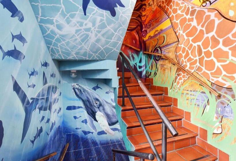 هاستل International House Co Living