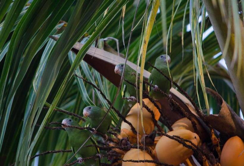 تختخواب و صبحانه Hostel Casa De Las Palmas Tours