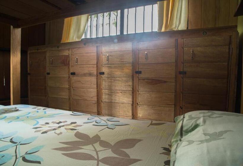 تختخواب و صبحانه Hostel Casa De Las Palmas Tours