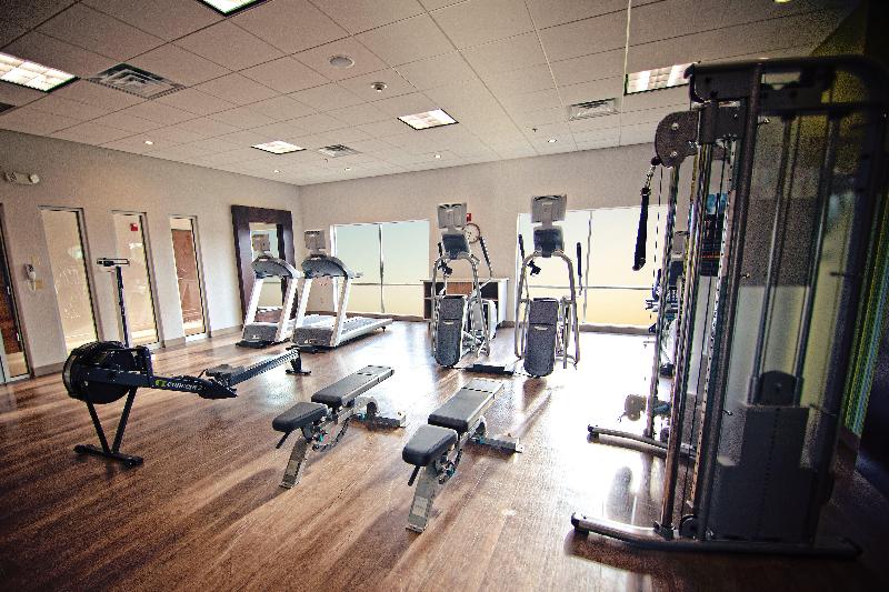 בית מלון כפרי Holiday Inn Express & Suites   Mcallen   Medical Center Area, An Ihg