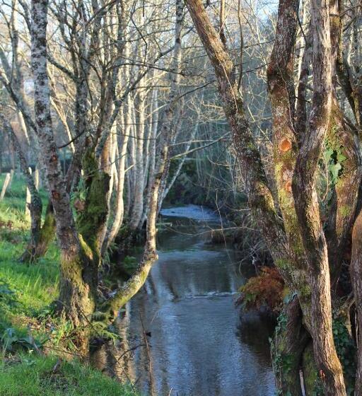 هتل Quinta Do Caminho, Al