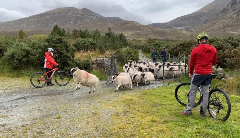 אתר נופש Enniskeen Estate & Forest Spa   Boutique Riverside Glamping Cabins