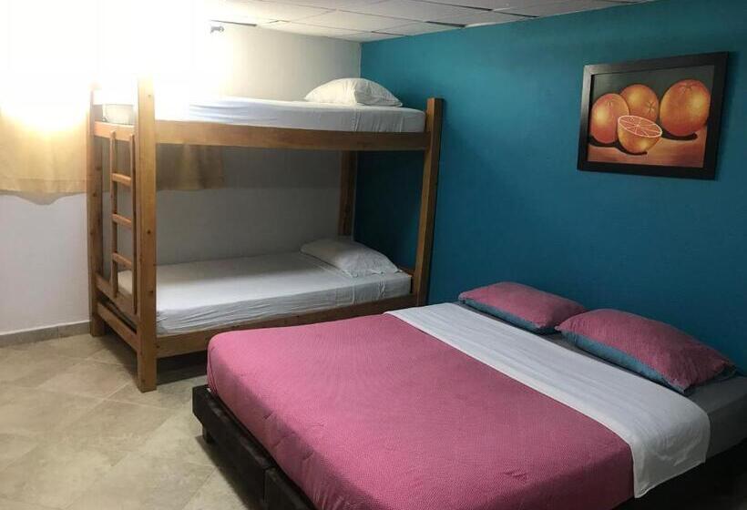 هاستل Hostal El Hangar