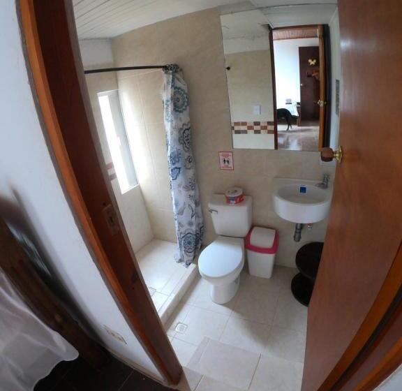 هاستل The Rock House Eco