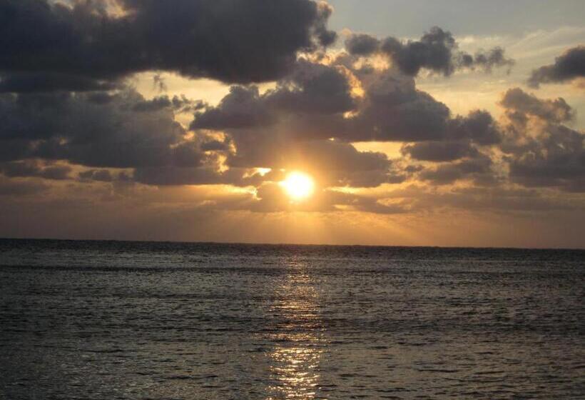 هاستل The Rock House Eco