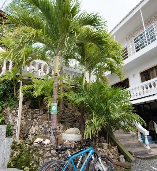 هاستل The Rock House Eco