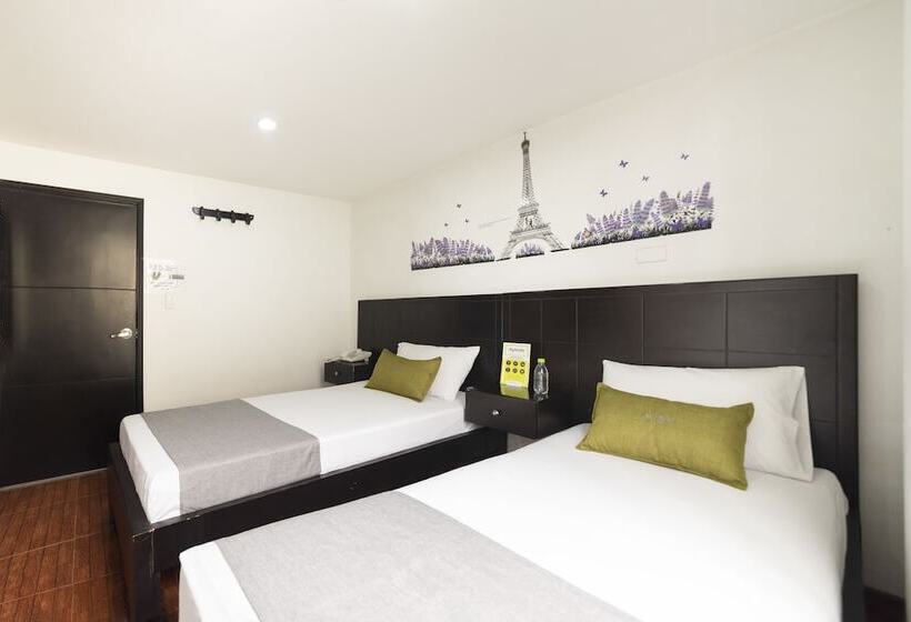 تختخواب و صبحانه Dorado 100