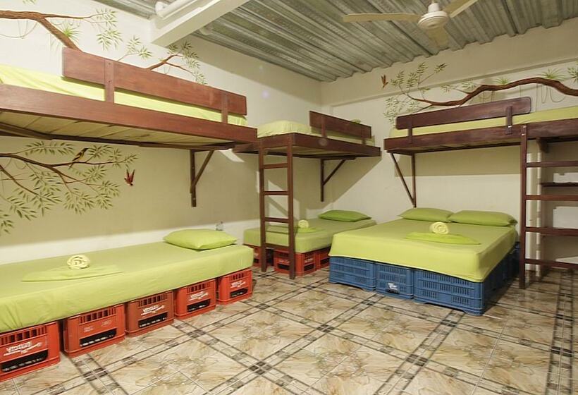 تختخواب و صبحانه Eco Hotel El Refugio De La Floresta