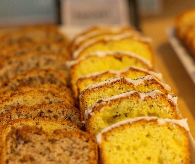 هتل Plaza Bariloche