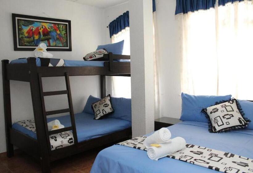 هتل Villa Del Rosario Nuevo