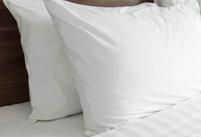 モーテル Knights Inn Augusta At Deans Bridge Rd