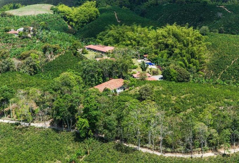 اقامتگاه Finca Hotel Los Girasoles