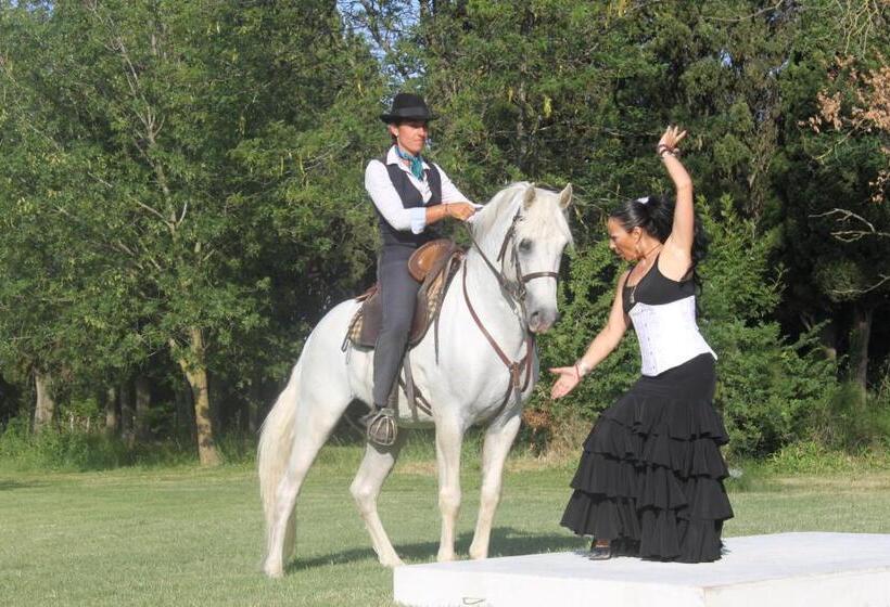 تختخواب و صبحانه Mas Du Menage En Camargue Manade Clauzel