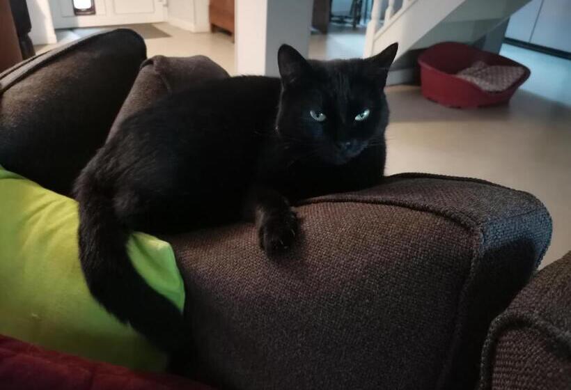 مبيت وإفطار Ar Litorienn