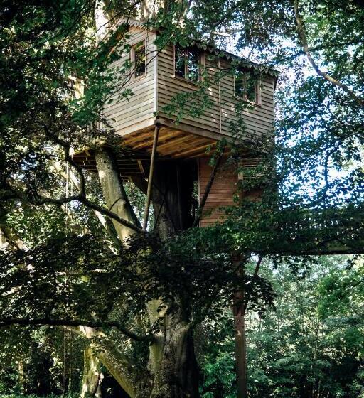 צימר Guesthouse Domaine Du Chalet