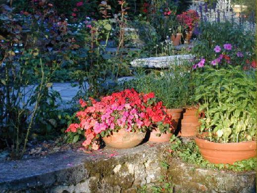 Bed & Breakfast Le Moulin Neuf