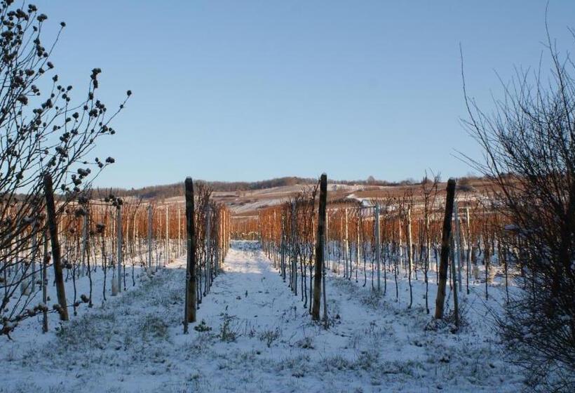 مبيت وإفطار Chambre D'hotes Le Vogelgarten