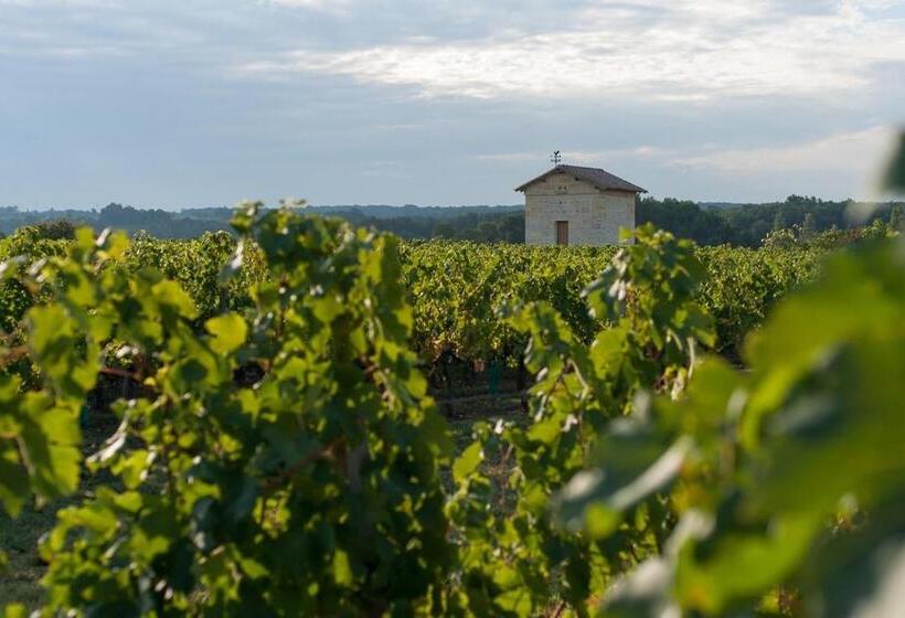 مبيت وإفطار Les Raisins Du Bonheur