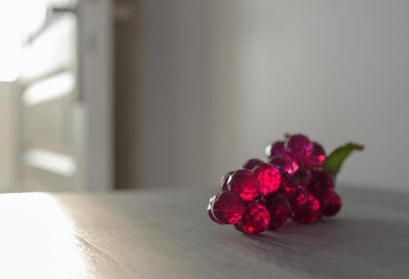 مبيت وإفطار Les Raisins Du Bonheur