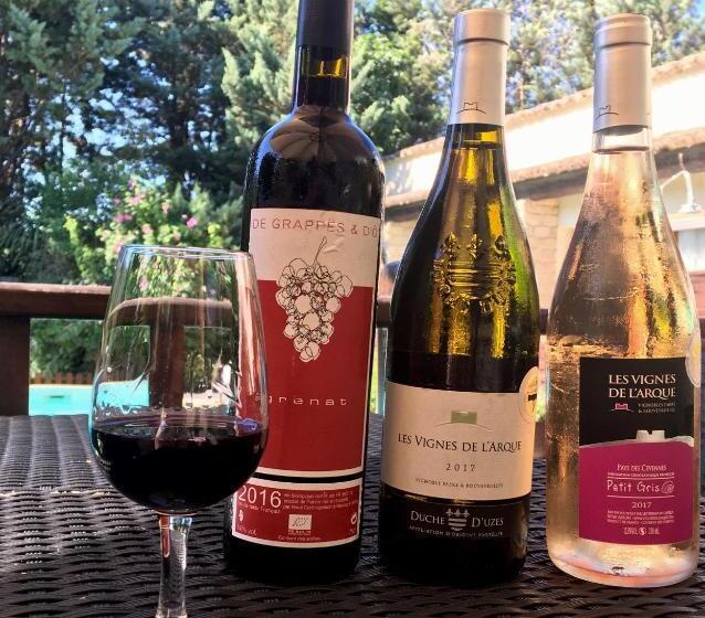 هاستل Logis Hotel L  Auberge D Uzes