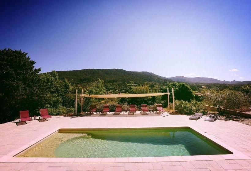 צימר Maison Alegria