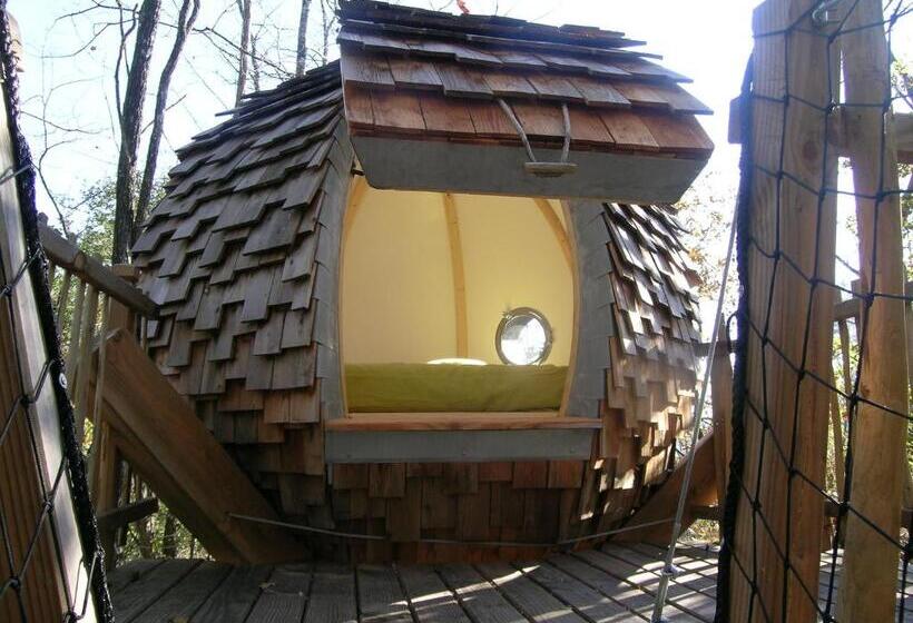 Bed and Breakfast Chambres D Hôtes   Dîners   Piscine   Centre Ville Bergerac 5km   Domaine De Bellevue Cottage