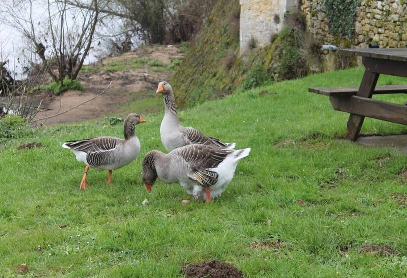 酒店 Hôtel Restaurant Côté Rivage