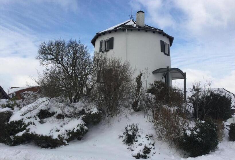 تختخواب و صبحانه De Witte Molen Kranenburg